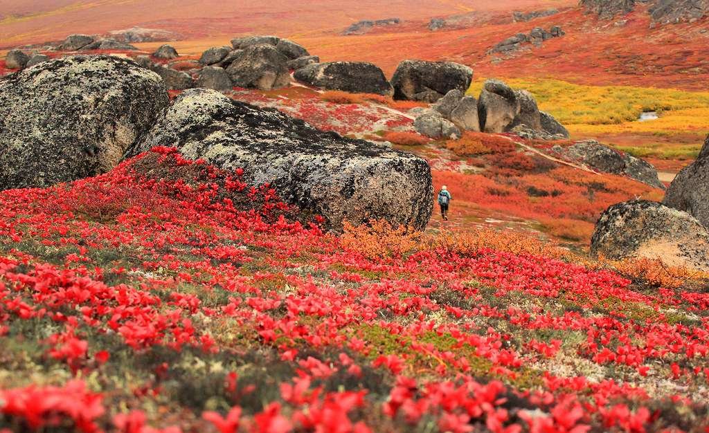 National Parks in Alaska