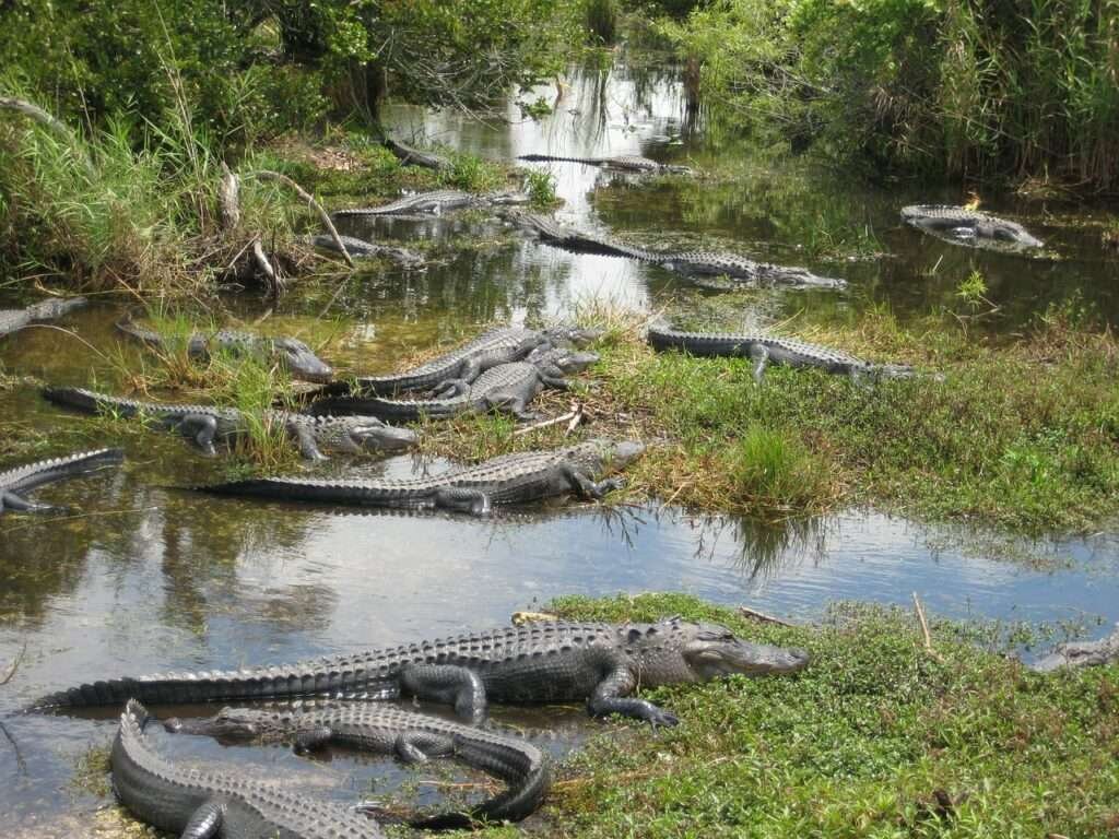 National Parks in Florida