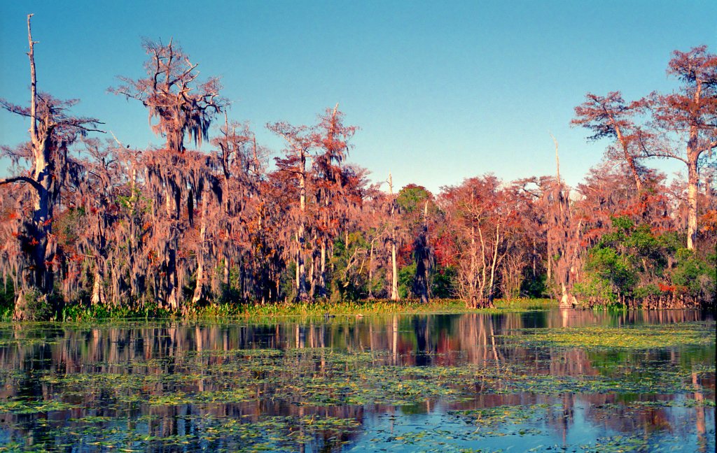 best natural springs in florida