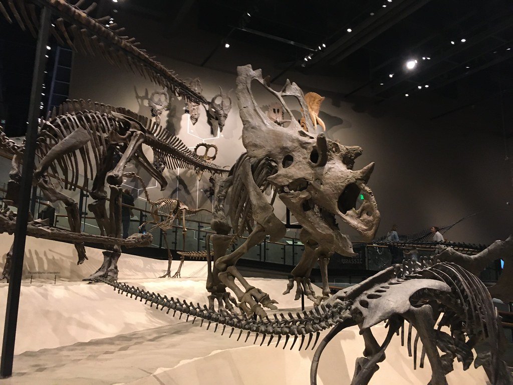 best dinosaur museum in united states