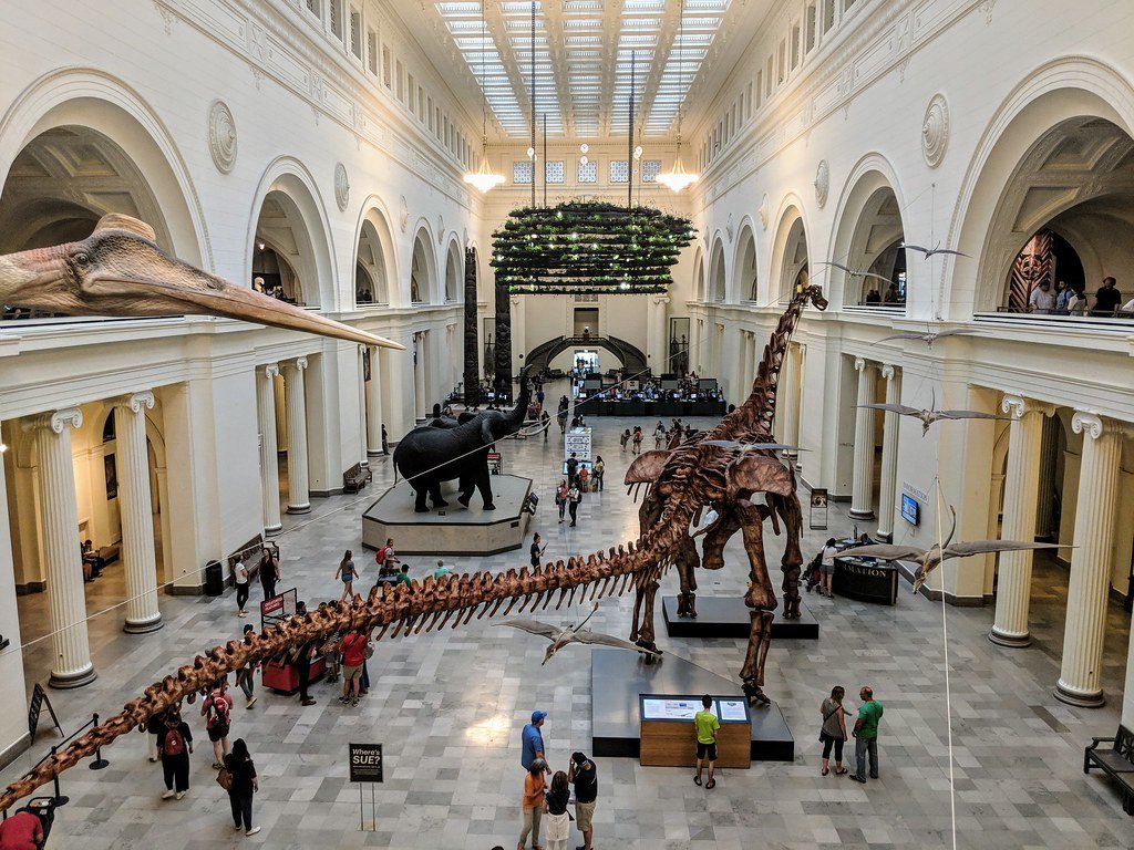 best dinosaur museum in united states