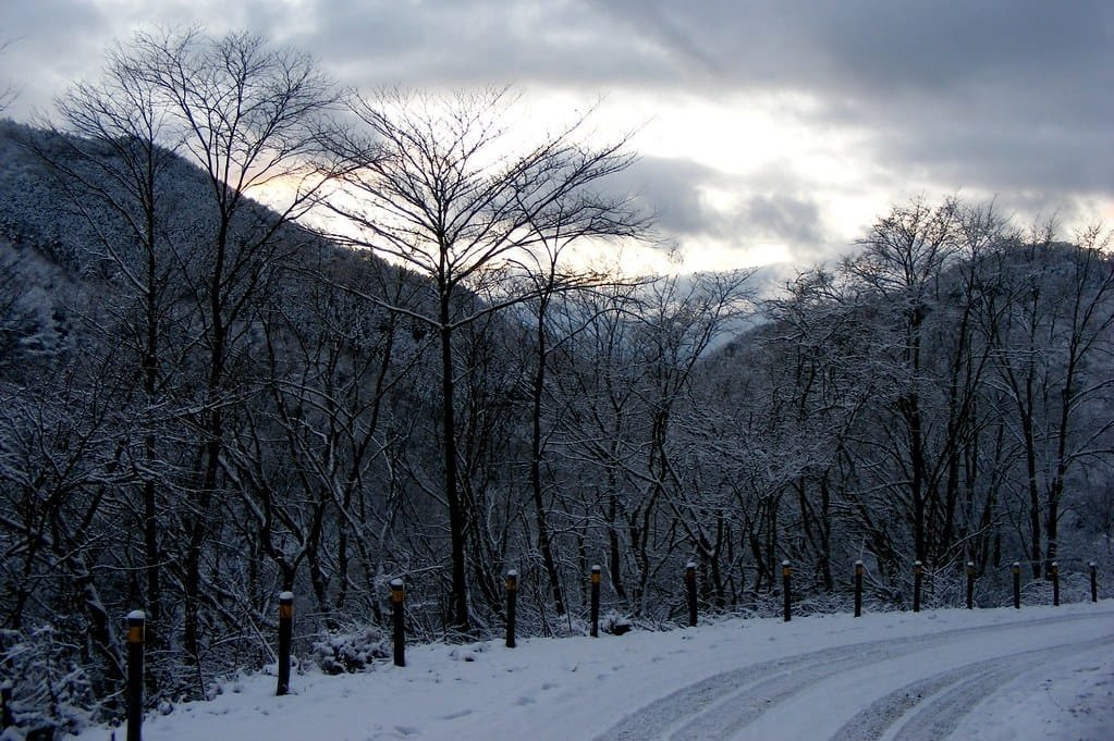 places to visit in japan in winter