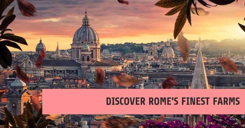 Best Farm Tours from Rome